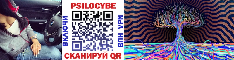 Купить Пересвет Галлюциногенные грибы мицелий
